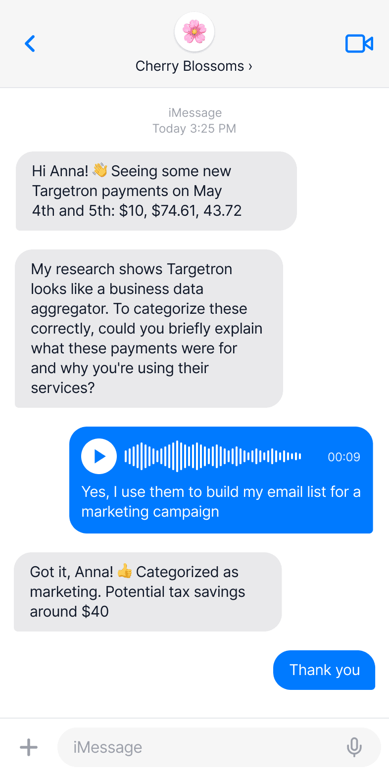 Conversational AI accountant